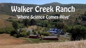 Walker Creek Ranch